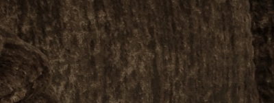 259 94 21